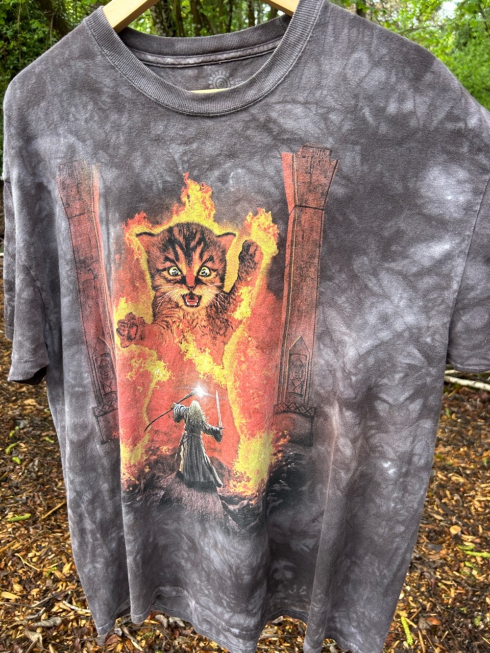 The Mountain Gandalf Shall Not Pass the Cat T-Shirt Men's 2X Fire Kitten Wizard